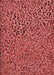 Machine Washable Transitional Red Rug, wshpat441rd