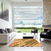 Square Patterned Orange Rug in a Living Room, pat443org