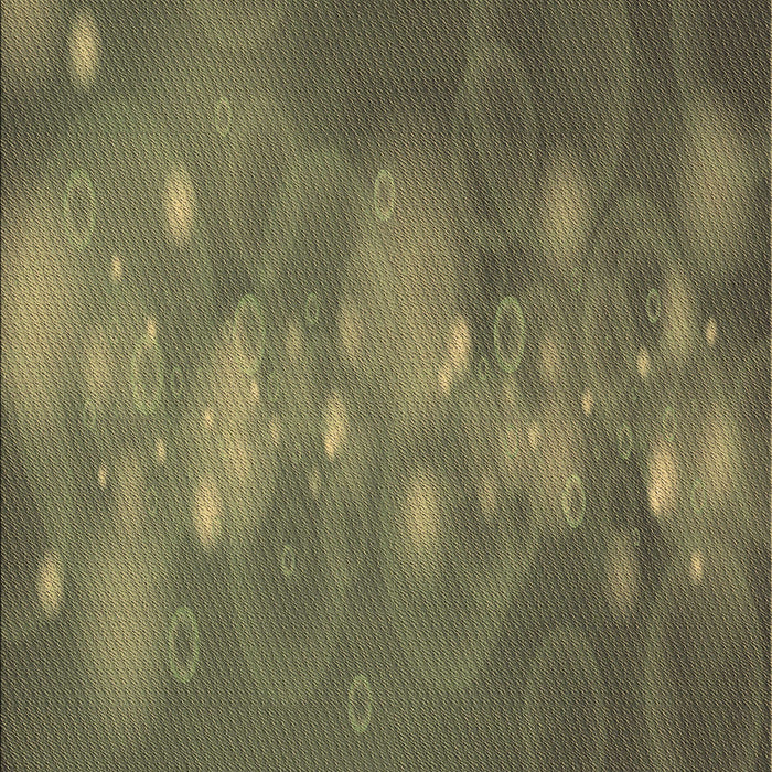 Machine Washable Transitional Army Green Rug, wshpat444brn