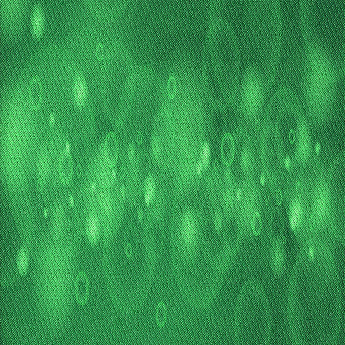 Machine Washable Transitional Green Rug, wshpat444grn