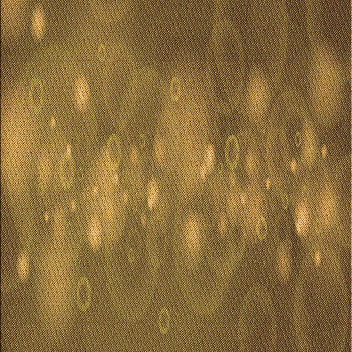 Machine Washable Transitional Dark Bronze Brown Rug, wshpat444org