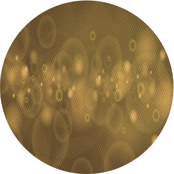 Square Machine Washable Transitional Dark Bronze Brown Rug in a Living Room, wshpat444org