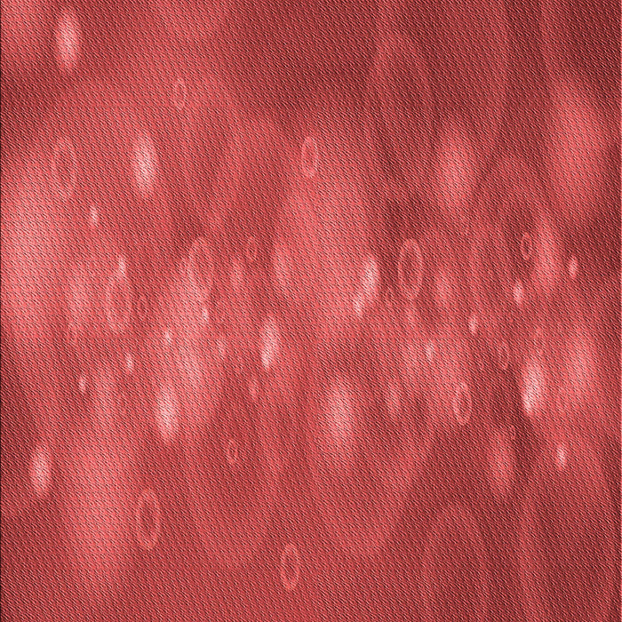 Patterned Red Rug, pat444rd