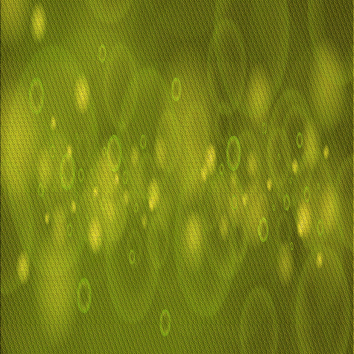 Patterned Pistachio Green Rug, pat444yw