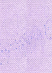 Machine Washable Transitional Bright Lilac Purple Rug, wshpat445pur