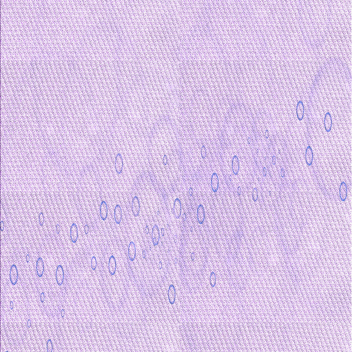 Machine Washable Transitional Bright Lilac Purple Rug, wshpat445pur