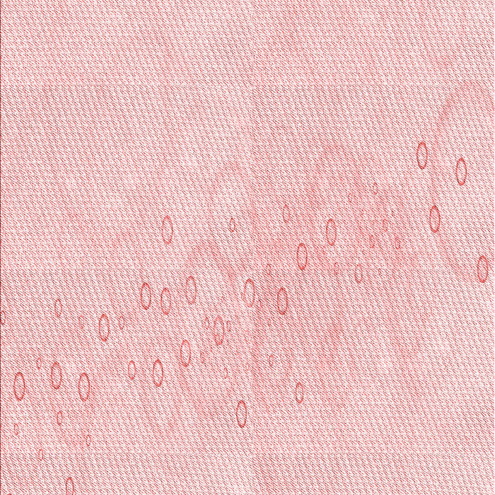 Machine Washable Transitional Light Coral Pink Rug, wshpat445rd