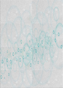 Machine Washable Transitional Dark Gray Rug, wshpat445