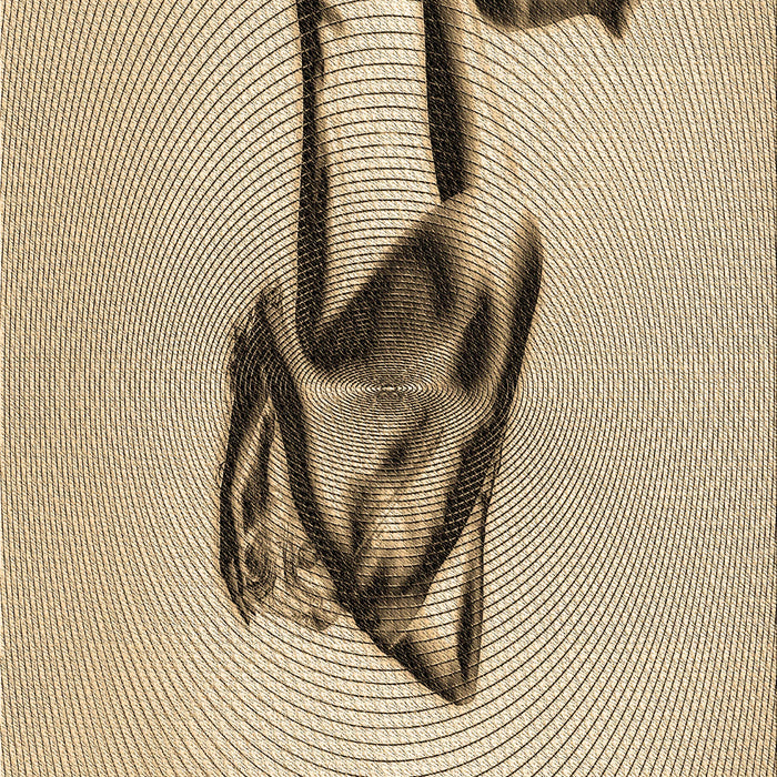 Patterned Khaki Gold Rug, pat449brn