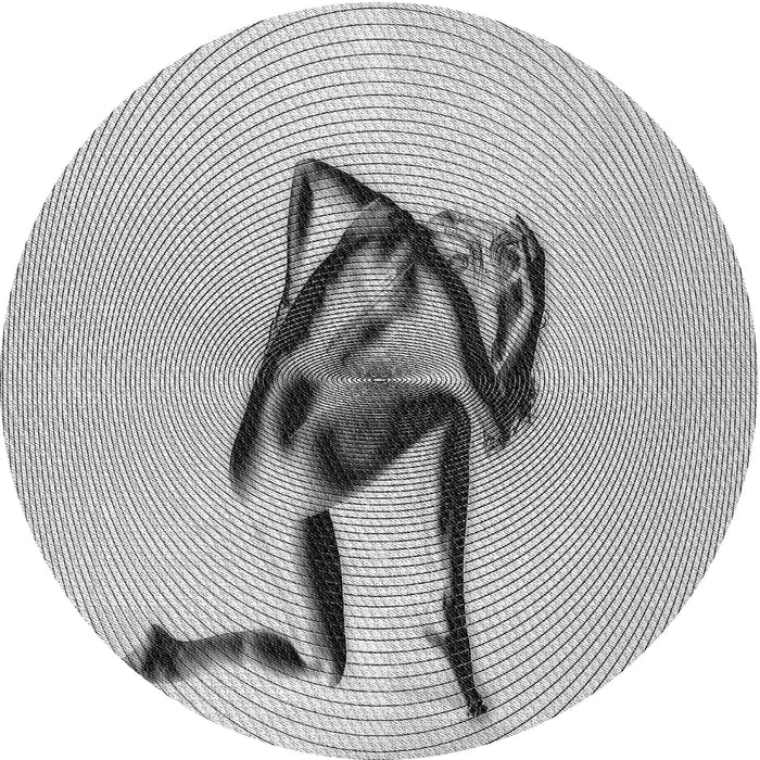 Square Machine Washable Transitional Gainsboro Gray Rug in a Living Room, wshpat449gry