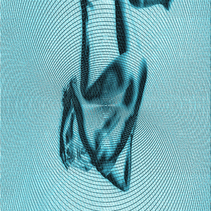 Machine Washable Transitional Blue Ivy Blue Rug, wshpat449lblu