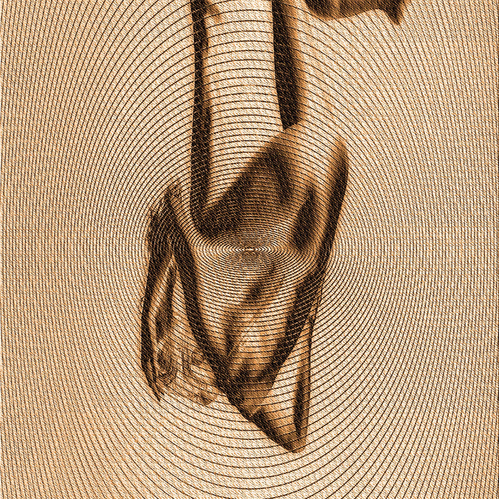 Machine Washable Transitional Light Brown Rug, wshpat449org