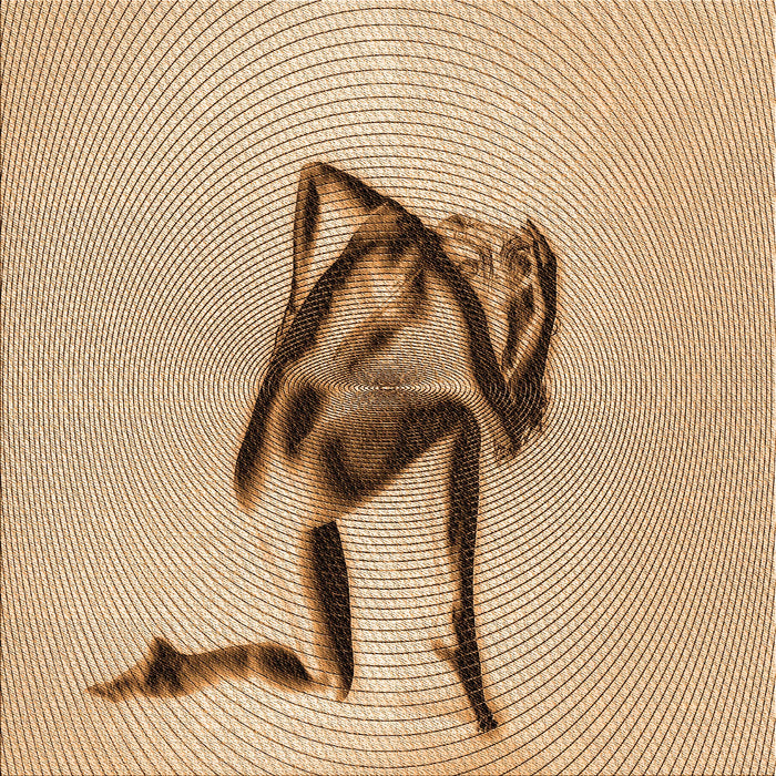 Round Machine Washable Transitional Light Brown Rug, wshpat449org