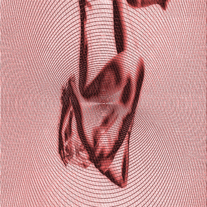 Machine Washable Transitional Deep Rose Pink Rug, wshpat449rd