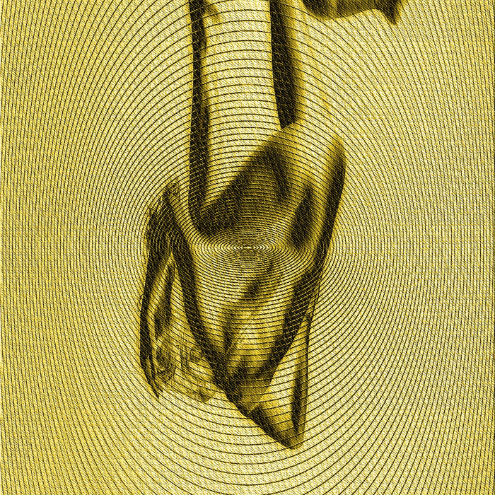 Machine Washable Transitional Dark Yellow Green Rug, wshpat449yw