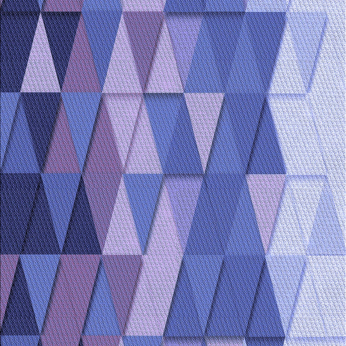 Machine Washable Transitional Purple Mimosa Purple Rug, wshpat452blu