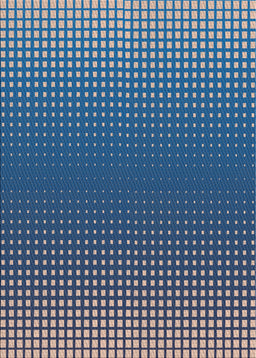 Patterned Blue Novelty Rug, pat458