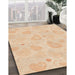 Machine Washable Transitional Orange Rug in a Family Room, wshpat460org