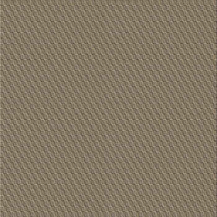 Round Machine Washable Transitional Dark Brown Rug, wshpat462brn