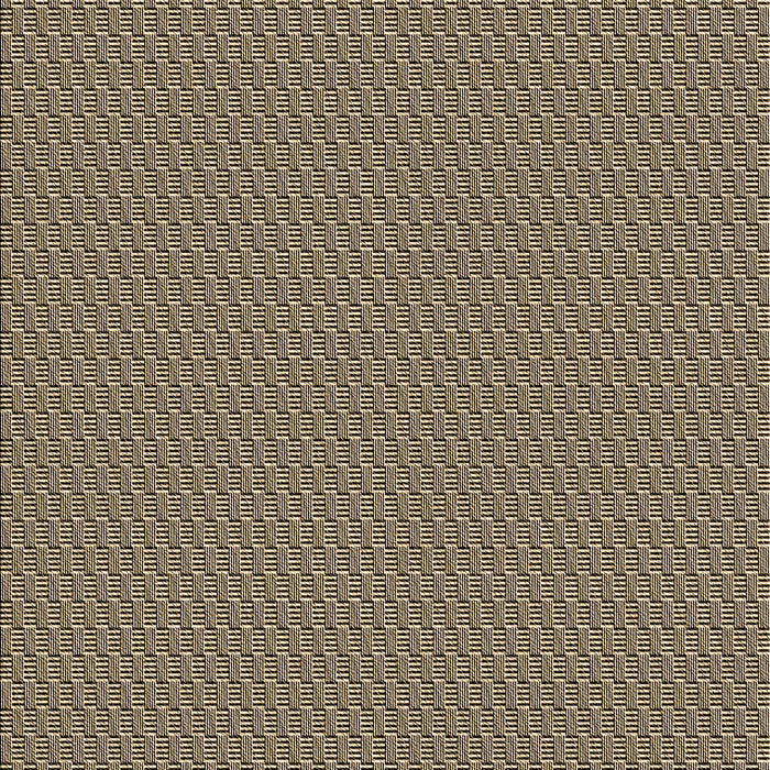 Machine Washable Transitional Dark Brown Rug, wshpat462brn