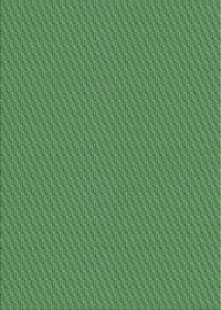 Machine Washable Transitional Green Rug, wshpat462grn