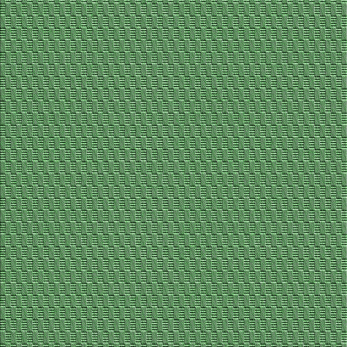 Machine Washable Transitional Green Rug, wshpat462grn