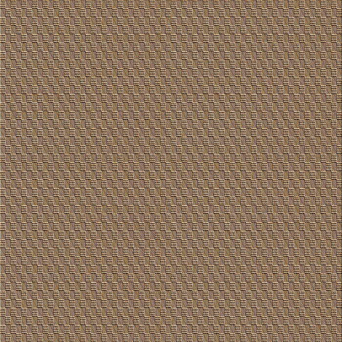 Round Machine Washable Transitional Brown Sugar Brown Rug, wshpat462org