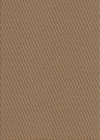 Machine Washable Transitional Brown Sugar Brown Rug, wshpat462org