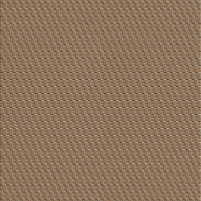 Machine Washable Transitional Brown Sugar Brown Rug, wshpat462org