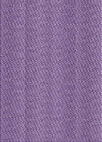 Machine Washable Transitional Bright Lilac Purple Rug, wshpat462pur