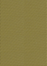 Machine Washable Transitional Golden Gold Rug, wshpat462yw