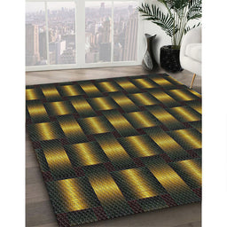 Patterned Brown Novelty Rug in Family Room, pat465