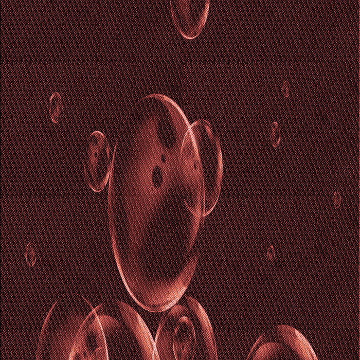 Machine Washable Transitional Chocolate Brown Rug, wshpat469rd