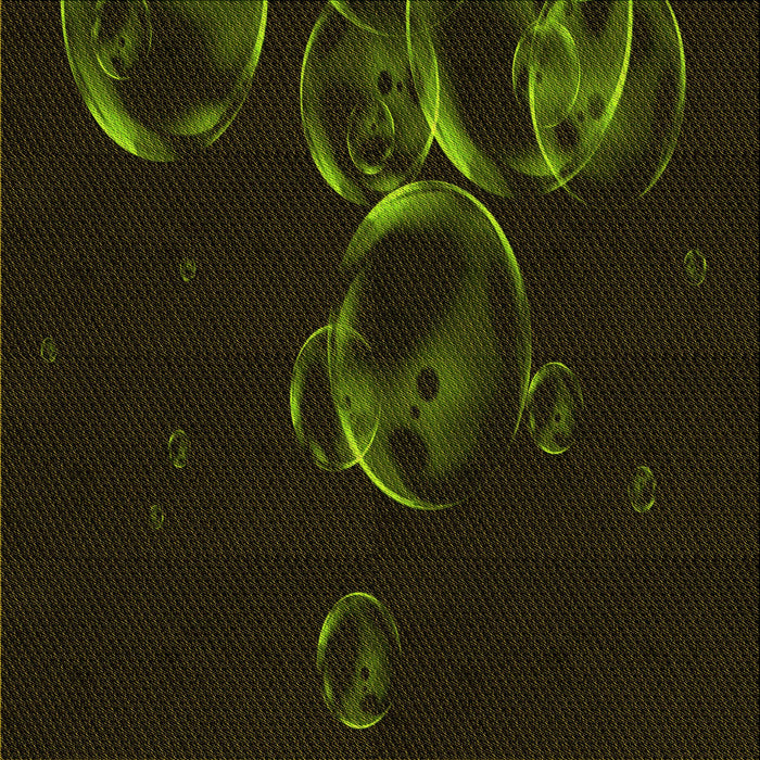 Round Machine Washable Transitional Black Rug, wshpat469yw