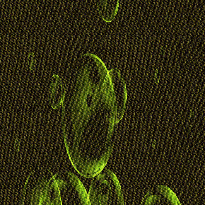 Machine Washable Transitional Black Rug, wshpat469yw