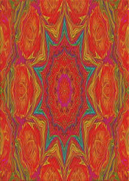 Machine Washable Transitional Red Rug, wshpat470