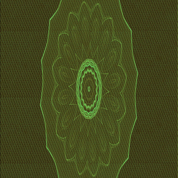 Patterned Black Brown Rug, pat472grn