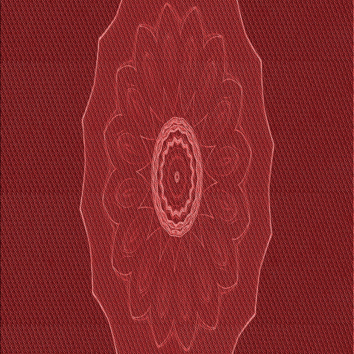 Patterned Red Rug, pat472rd