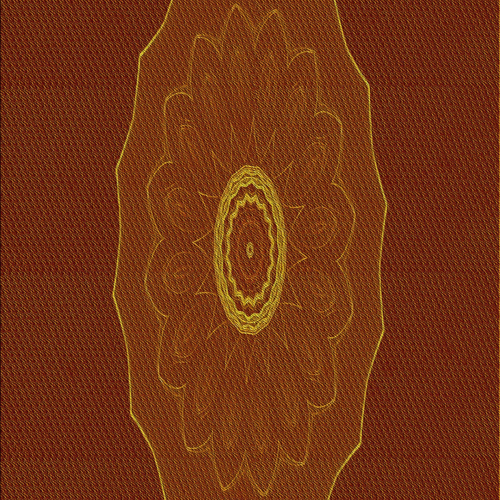 Machine Washable Transitional Mahogany Brown Rug, wshpat472yw