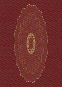 Machine Washable Transitional Red Rug, wshpat472