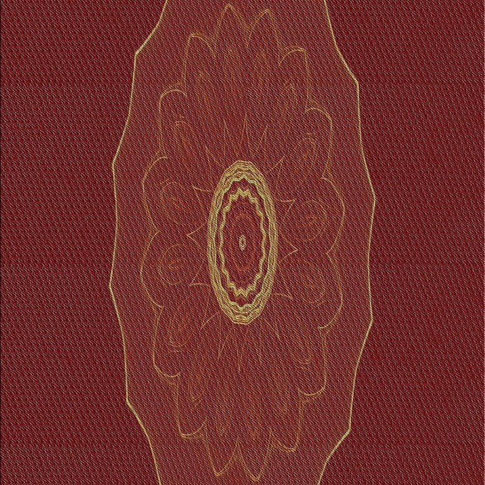 Machine Washable Transitional Red Rug, wshpat472