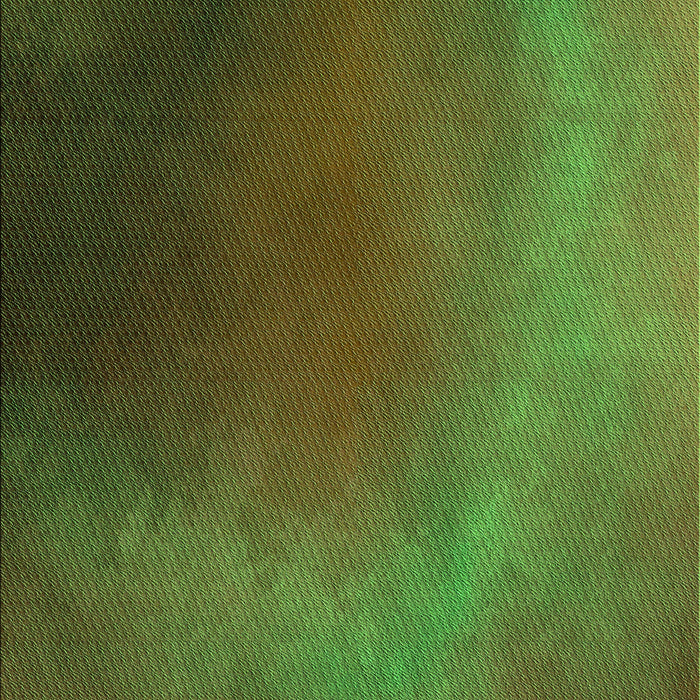 Patterned Dark Lime Green Rug, pat474grn