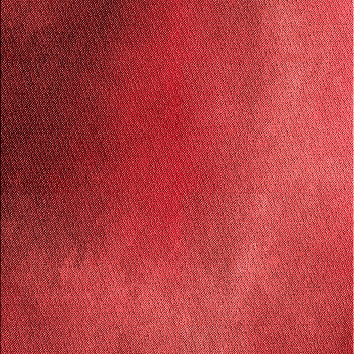 Patterned Red Rug, pat474rd