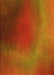 Machine Washable Transitional Neon Orange Rug, wshpat474yw