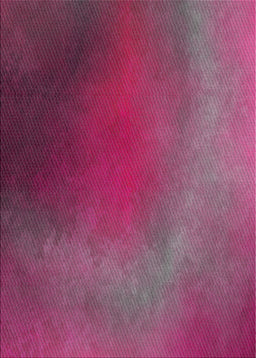 Machine Washable Transitional Pink Rug, wshpat474