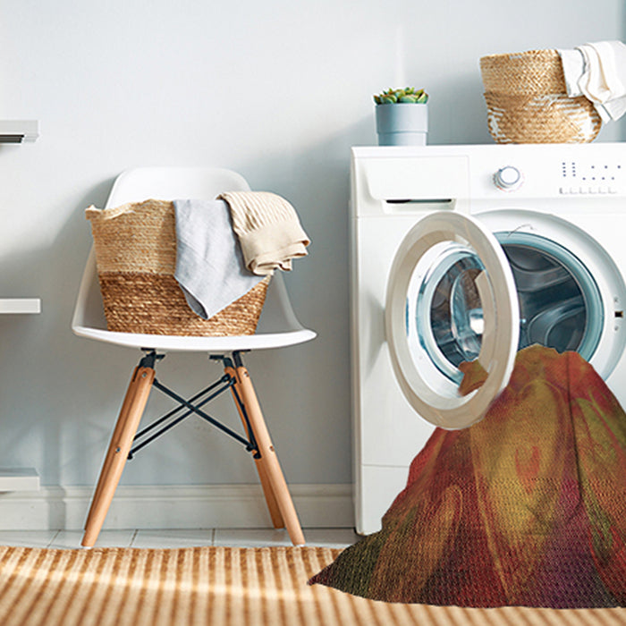 Machine Washable Transitional Tomato Red Rug in a Washing Machine, wshpat475brn