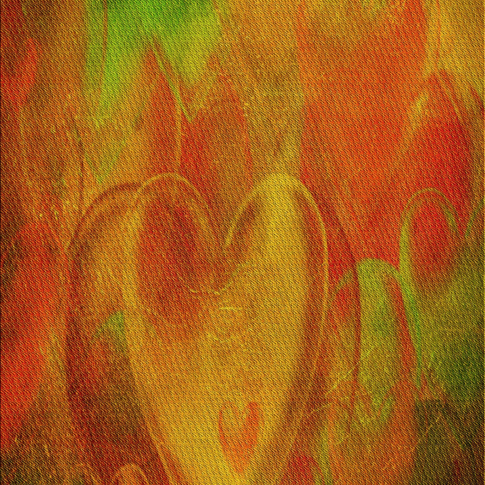 Machine Washable Transitional Red Rug, wshpat475yw