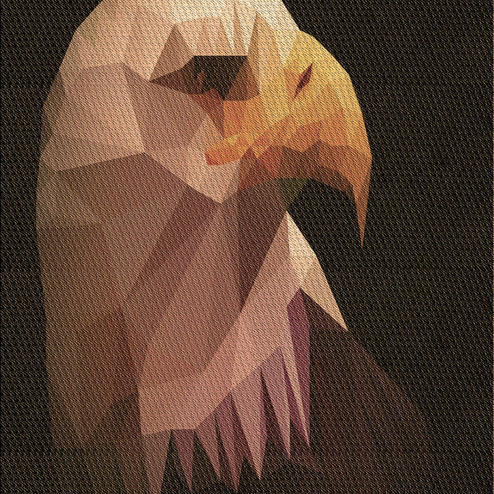 Machine Washable Transitional Sienna Brown Rug, wshpat477brn