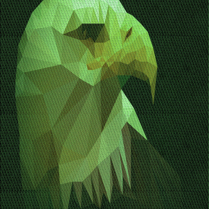 Patterned Dark Lime Green Rug, pat477grn