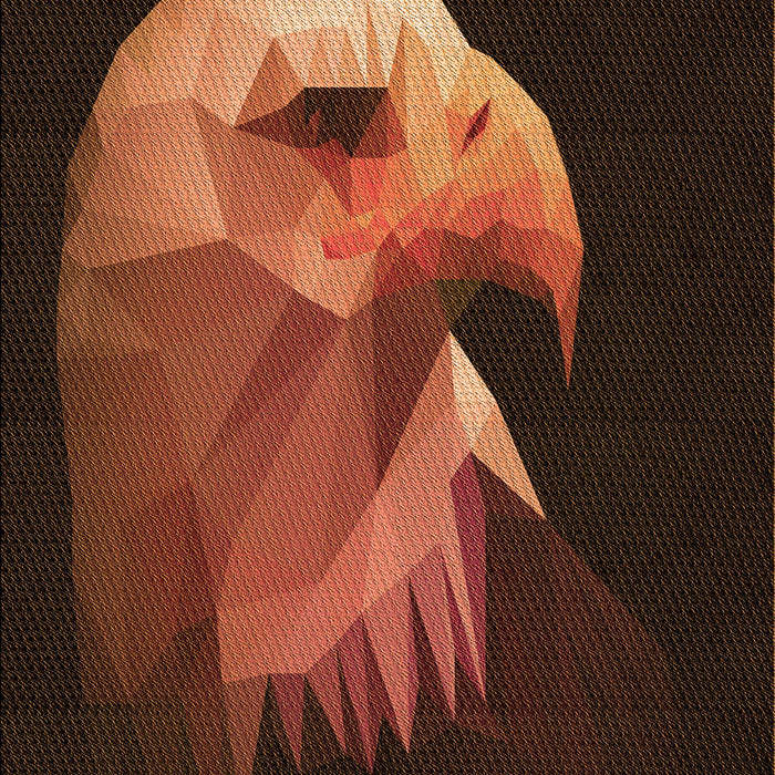 Machine Washable Transitional Mahogany Brown Rug, wshpat477org